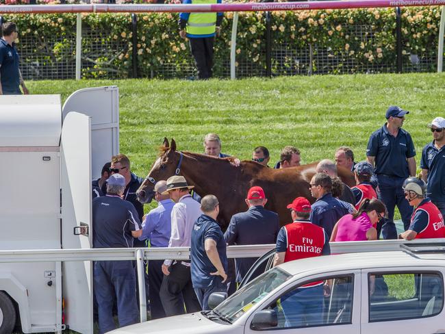 Red Cadeaux is loaded into an ambulance.