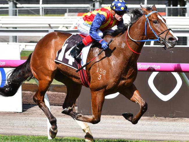 Craig Williams and Theanswermyfriend. Picture: Getty Images