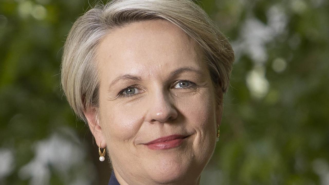 Labor Mp Tanya Plibersek Backs Labor Leader Anthony Albanese Herald Sun