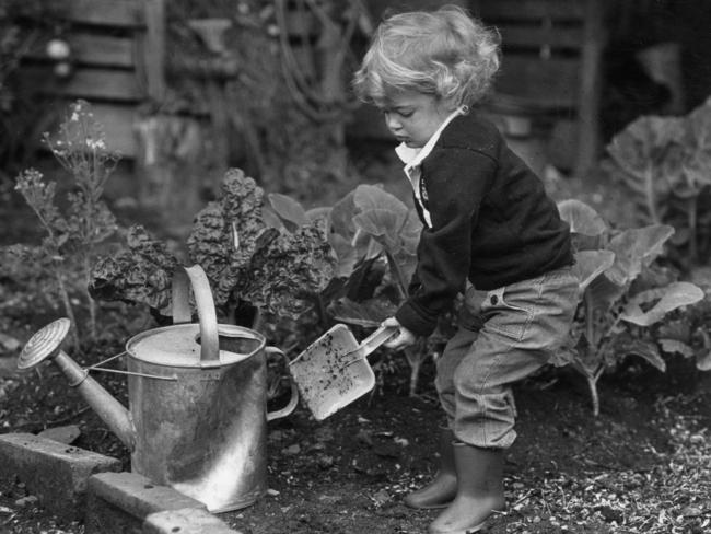 A young child helps in the vegetable garden in his backyard in 1990.