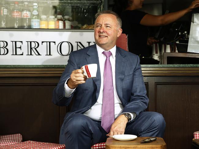 Stop developing policy in inner-city cafes: Albo told