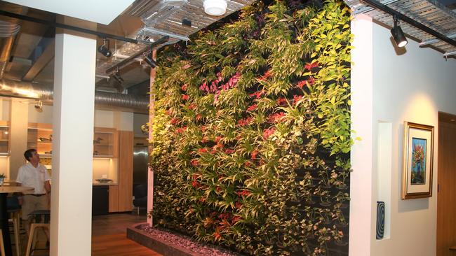 A living green wall inside the new Art Work Spaces building on Abbott Street in the Cairns CBD. Picture: Peter Carruthers