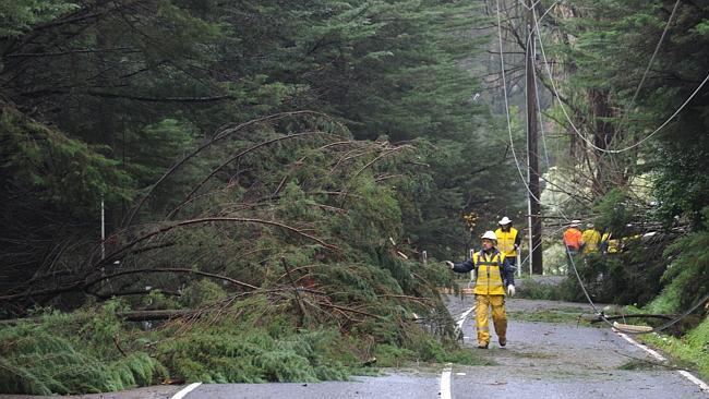 Crews work to clear storm damage on Mt Dandenong Tourist Rd, Mount Dandenong. Picture: Andrew Henshaw