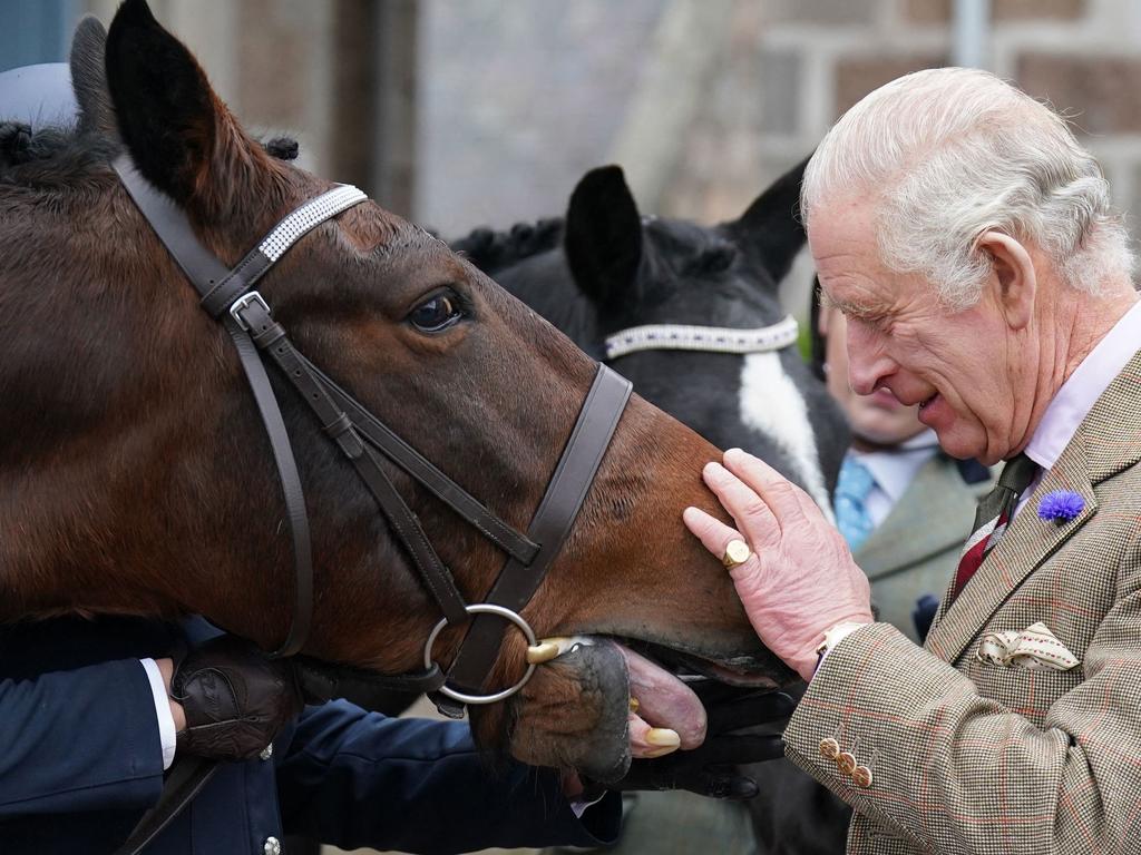 King Charles wants to streamline the monarchy and that includes selling off some of the Queen’s horses. Picture: AFP