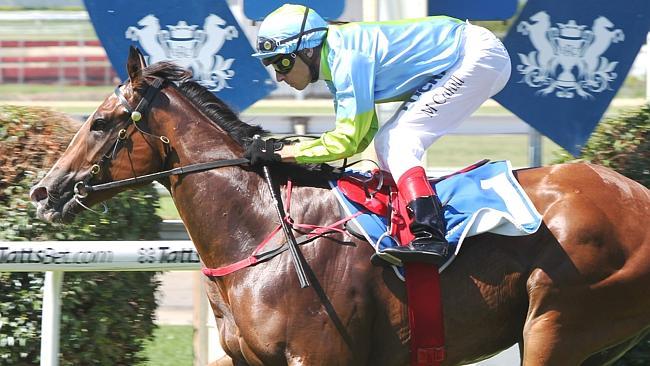 Oakleigh Girl wins at Doomben before her disappointing performance last start where she faded to finish fourth. Picture: Stev...