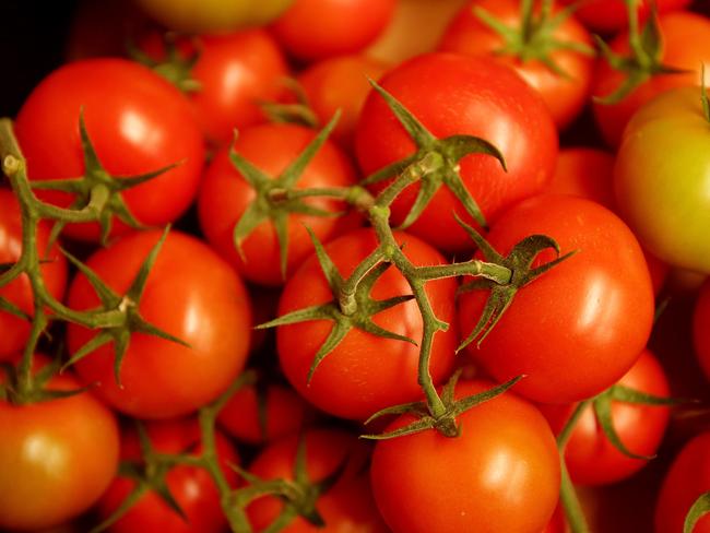 The Bowen region produces 90% of Australia’s fresh tomatoes. Picture: Alison Wynd