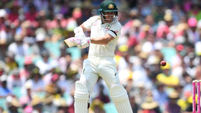 Should David Warner have his leadership ban lifted? Picture: AAP Images