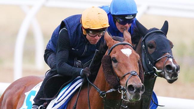 Kerrin McEvoy putting Cross Counter through its paces. (Photo by Michael Dodge/Getty Images)