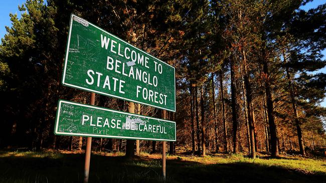 Belanglo State Forest in NSW. Picture: Adam Taylor