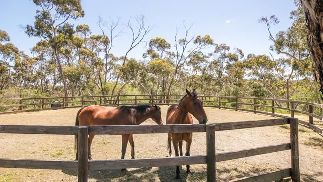 There are two stables and a huge round yard as well.