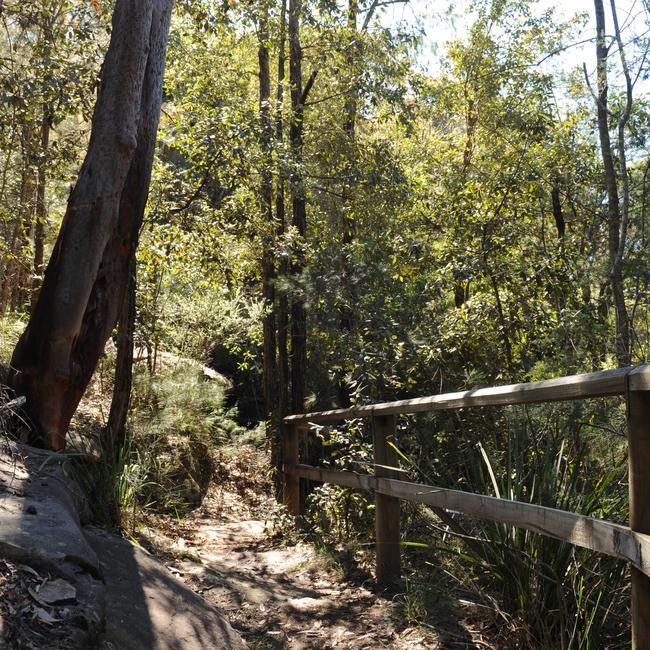 The council also wants to do more to protect environmentally sensitive land on the Northern Beaches. Picture: Simon Cocksedge