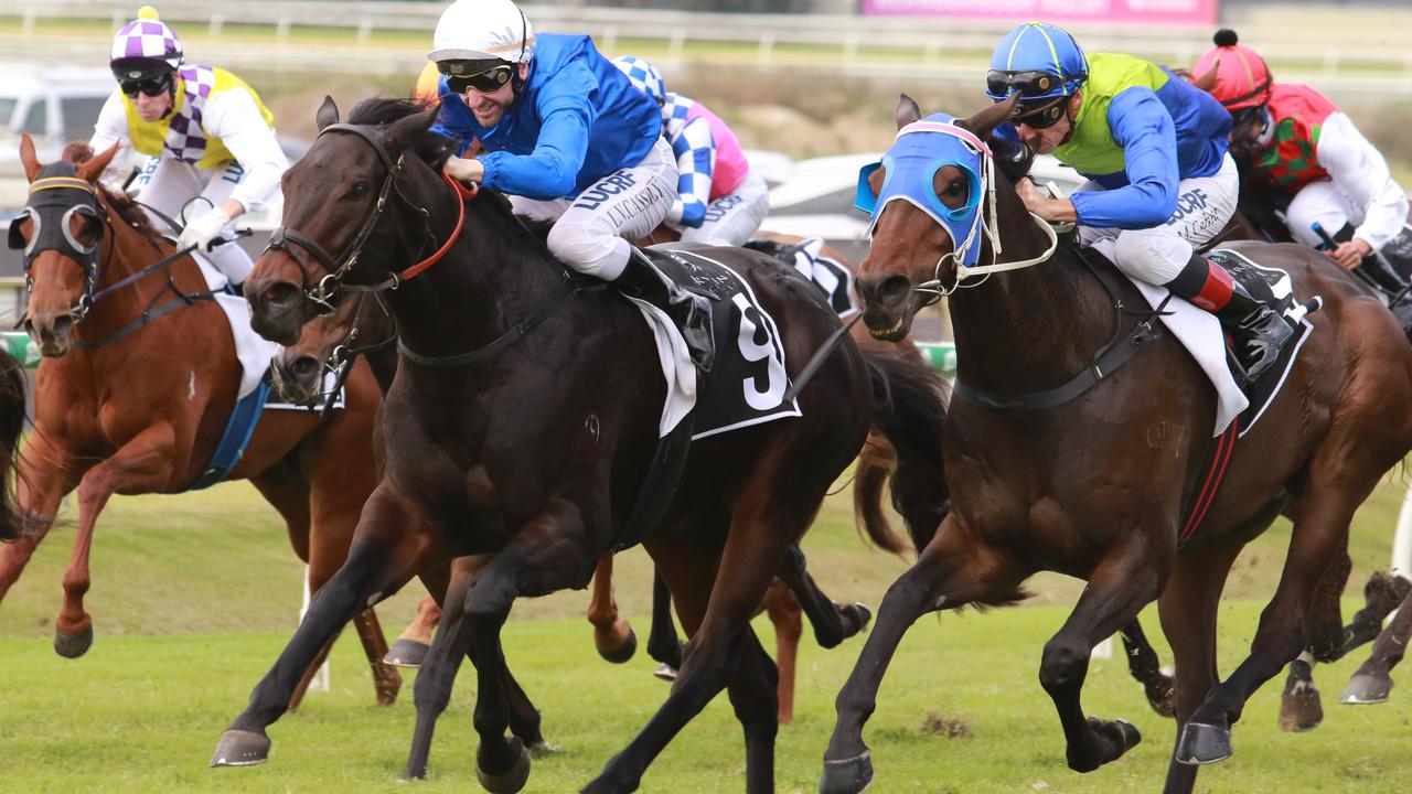 Plague Stone winning at Doomben. Picture: Grant Guy