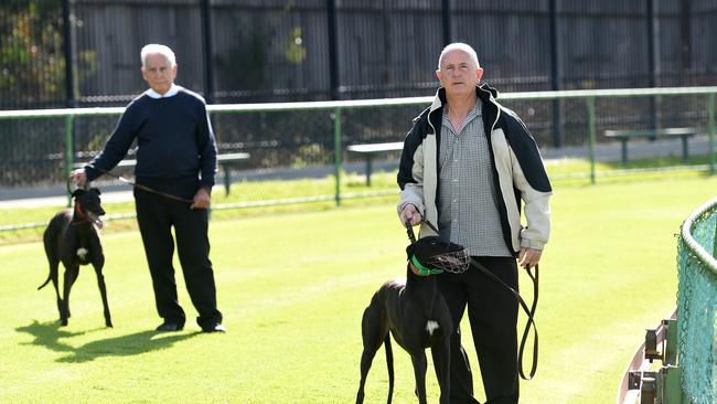 Condell Park greyhound trainer and breeder of 50 years Ron Marsden (right), with Hardaway Alteva, and Mick Tesoriero, with My Lady Day at the Potts Point Greyhound Racing club track. Photo: Paul Miller/AAP.