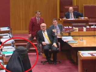 Pauline Hanson wearing a burqa while a bemused George Brandis looks on