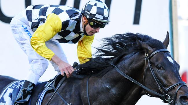 2010 Cox Plate. Moonee Valley. Steven Arnold wins on So You Think as they go past the post.