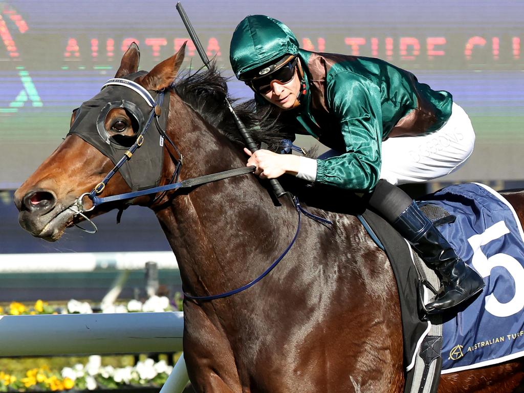 Nsw racing | Horse Racing News and Thoroughbreds | Herald Sun