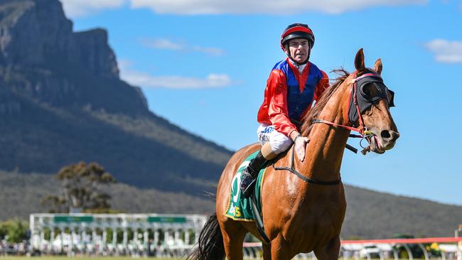 Craig Robertson returns to scale aboard Penny To Sell after she won the William Thomson Dunkeld Cup in the shadow of the Grampians in November. Picture: Alice Laidlaw