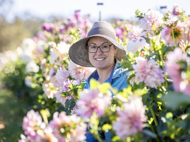 NEWS: Flower farmer Lorelie Merton at BungareeFlorelie Seasonal Flowers is a flower farm owned by Lorelie Merton at Bungaree. Florelie grows Dahlia's and due to a recent frost, Lorelie is feeding some of the damaged flowers to her sheep. Luckily the frost came post Valentines day and wasn't bad enough to wipe out the whole lot.