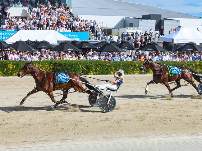 Swayzee wins the NZ Cup. Picture: File