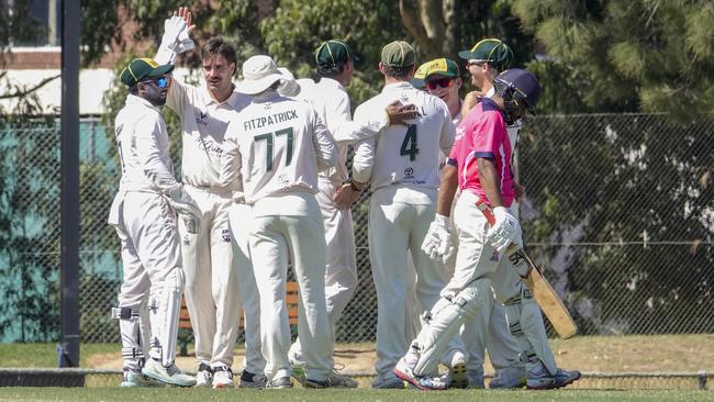 Premier Cricket: Dandenong batter Sahan Perera is out for a duck. Picture: Valeriu Campan