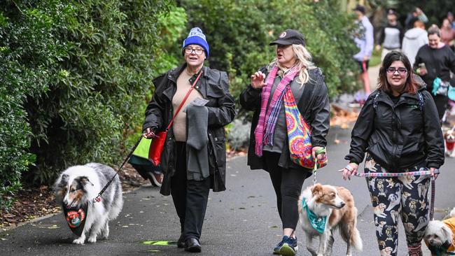Million Paws Walk at Adelaide Botanic Gardens. Picture: Brenton Edwards