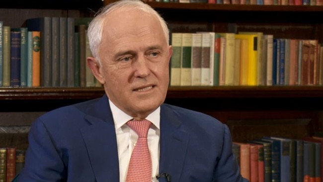 Malcolm Turnbull has lashed One Nation after this week’s Al Jazeera revelations about the party’s dealings with the National Rifle Association.