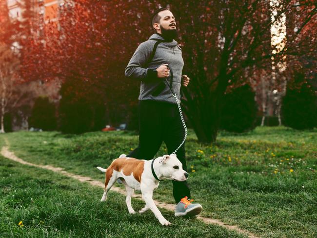 Regular exercise will help to keep your pet at a healthy weight.