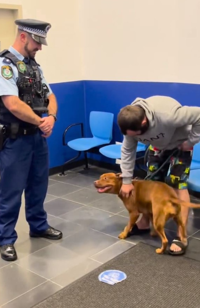 Baxter was reunited with her owner after going missing for three days. Picture: NSW Police Force