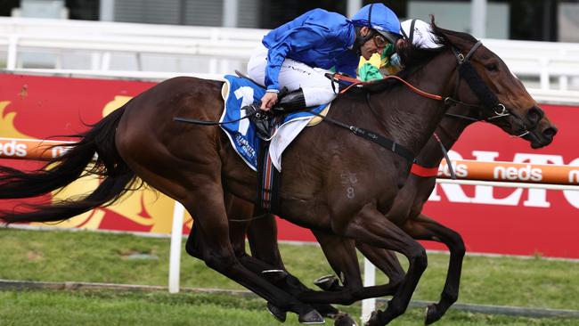 Vianello can resume with win at Warwick Farm.