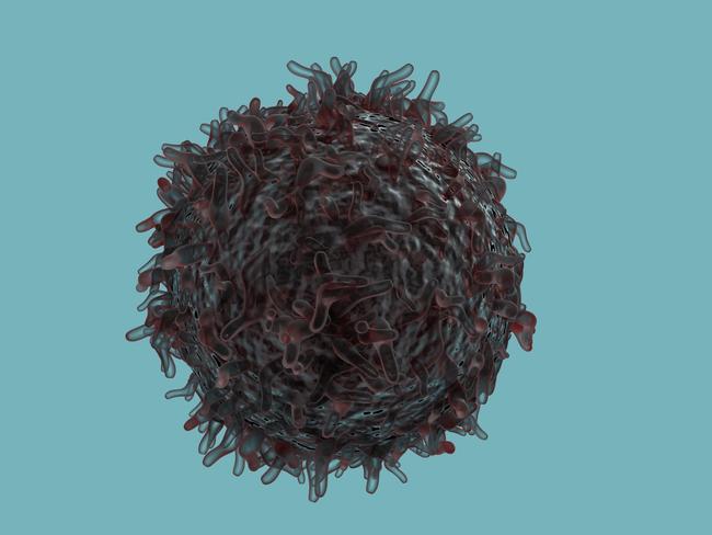 Cancer Cell Lymphoma Immunotherapy Fat Diet 3D