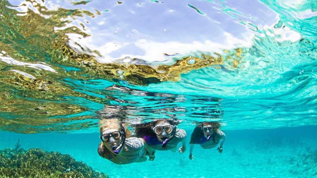 Safety first a must with snorkelling | The Courier Mail