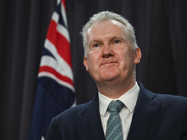 CANBERRA, Australia - NewsWire Photos - June 28, 2024: Minister for Employment and Workplace Relations Tony Burke holds a press conference at Parliament House in Canberra. Picture: NewsWire / Martin Ollman