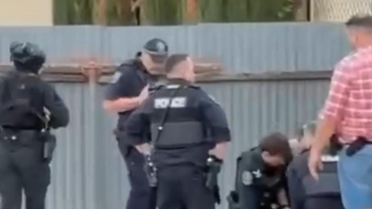 Police swarm on alleged sword-wielding thief in suburban home