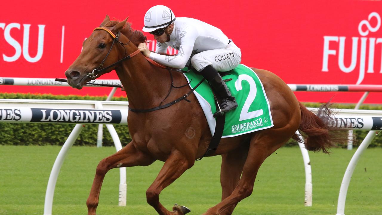 Kote looks a good chance in the Hawkesbury Guineas. Picture: Grant Guy