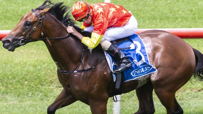 Rulership is second favourite in the Blue Diamond Stakes. Picture: Getty Images
