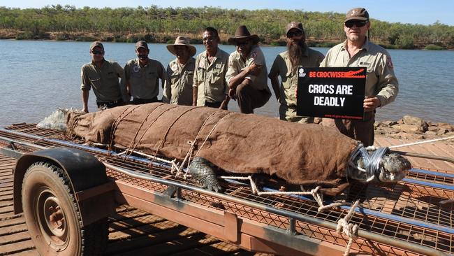 A 4.38m male saltwater croc was caught in the Victoria River. Picture: NT PARKS AND WILDLIFE