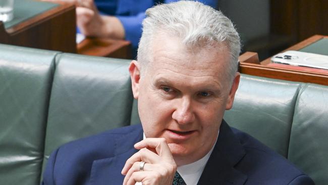 Minister for Home Affairs and Minister for the Arts, Tony Burke during Question Time at Parliament House in Canberra. Picture: NewsWire / Martin Ollman