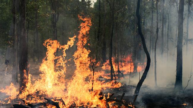 CFA chief Jason Heffernan was disappointed in the deliberately lit fires in Victoria on Monday when there was also a total fire ban.