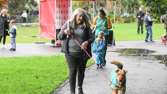 Million Paws Walk at Adelaide Botanic Gardens. Picture: Brenton Edwards