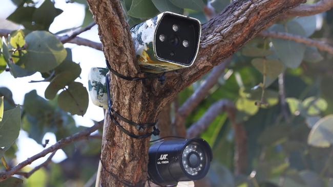 Hidden security cameras spotted in trees on the Latrobe Ave property at Helensvale where police have found an alleged meth lab. Photograph : Jason O'Brien