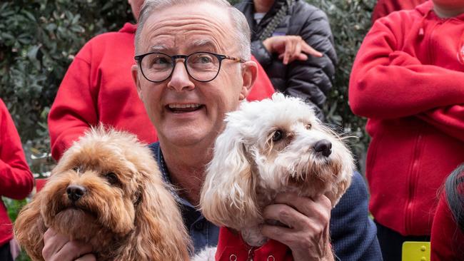 Election campaign’s biggest Albo bombshell