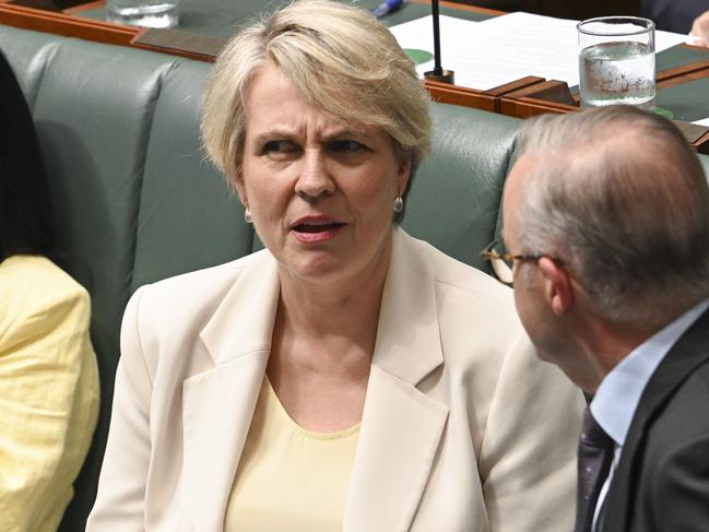 CANBERRA, AUSTRALIA, NewsWire Photos. FEBRUARY 14, 2024: Minister for Environment and Water Tanya Plibersek and Prime Minister Anthony Albanese during Question Time at Parliament House in Canberra. Picture: NCA NewsWire / Martin Ollman