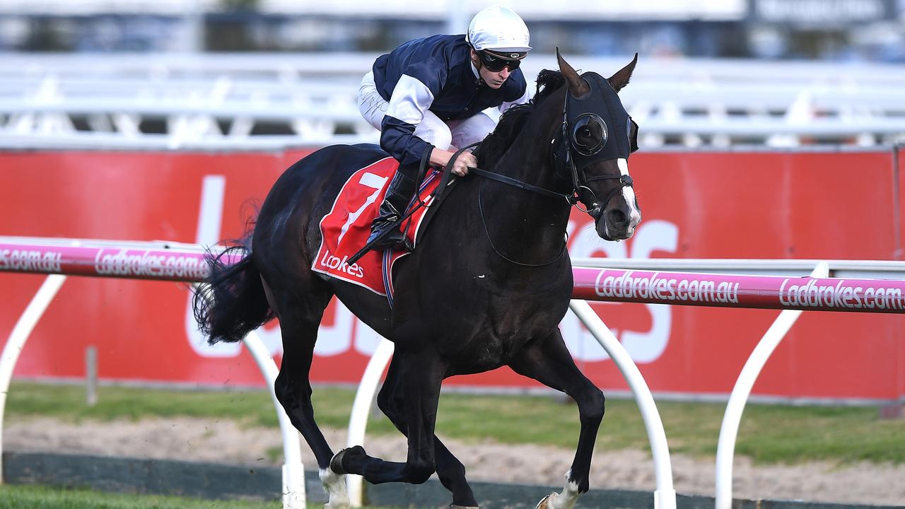 Yucatan’s stunning victory in the Herbert Power Stakes has seen it make the biggest move from pre-nominations odds in the Melbourne Cup field. (AAP Image/Julian Smith)