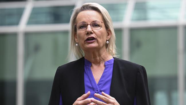 Deputy leader of the opposition Sussan Ley. Picture: NCA NewsWire / Martin Ollman