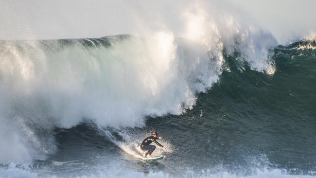 Surfers took advantage of the wild conditions. Picture: NewsWire / Monique Harmer