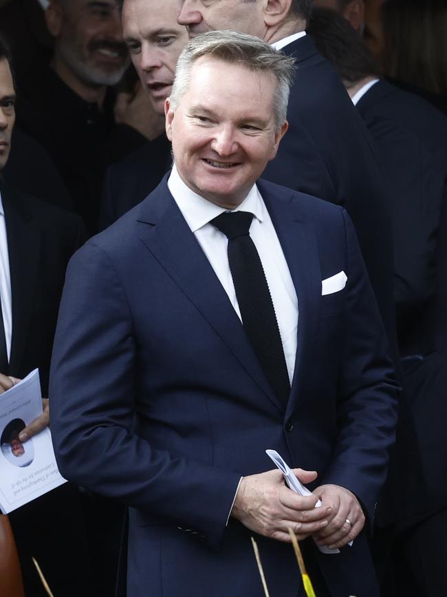 MP Chris Bowen. Picture: Richard Dobson