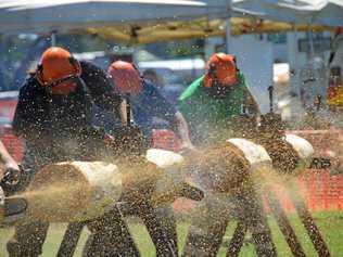 FLURRY OF SAWDUST: Murgon Show Chainsaw Race is back on again. Picture: Madeline Grace