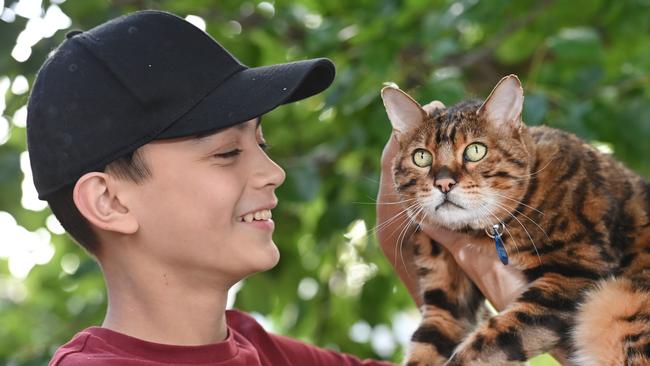 Max the 8-year-old Bengal cat with his owner, 11-year-old Xavier Johnson of Kingswood. Max has been in trouble with the council for breaking into other people's houses. Picture: Keryn Stevens