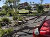 70km/h winds: Power poles, 30 metre tall trees broken after wild storm