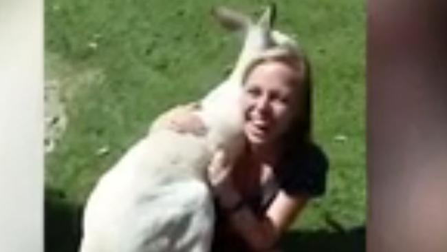 Albino kangaroo hugs a laughing American woman at a Perth wildlife park